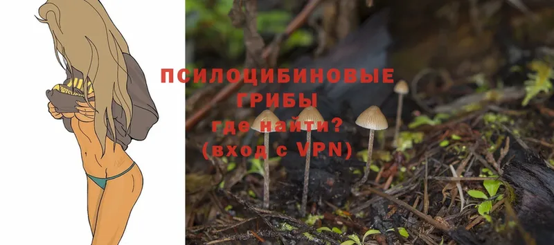 Псилоцибиновые грибы Magic Shrooms  кракен сайт  Котлас 